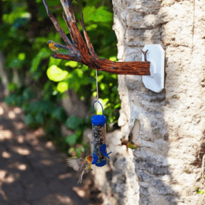 Custom Bird Perch Branch #1